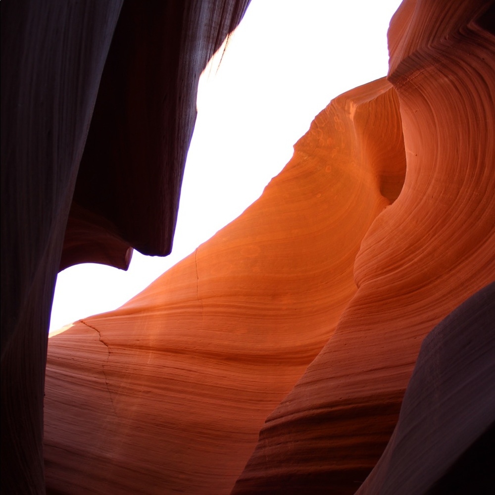 Meet your Posher, Sydney